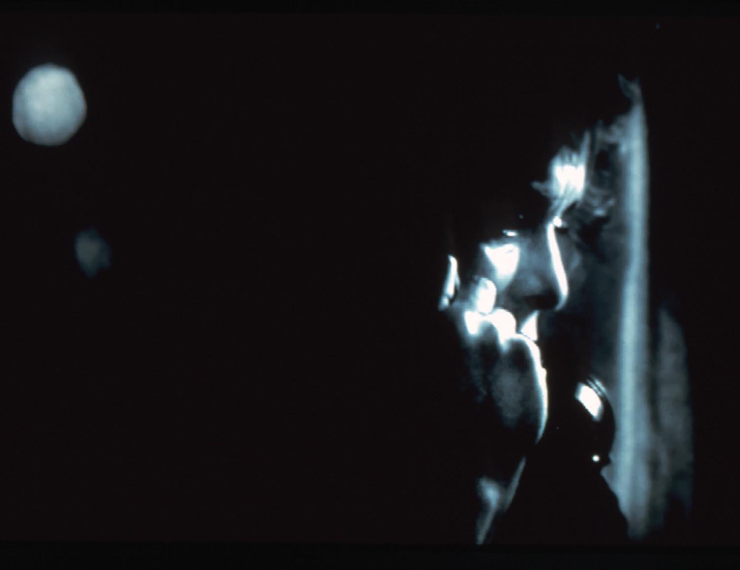 Francesco Vezzoli, The End of Human Voice, 2001